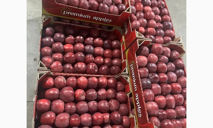 Продаються яблука сортів Джеромін, Голден, Фуджі - фото № 1