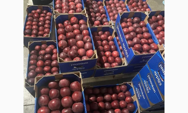 Продаються яблука сортів Джеромін, Голден, Фуджі - фото № 3