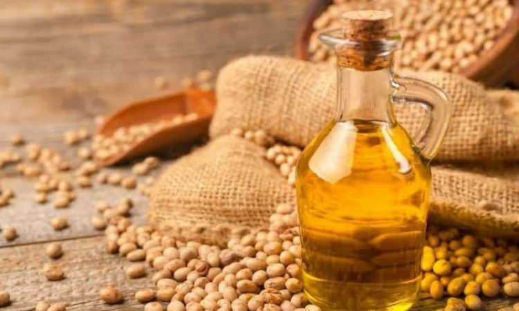 Продам олію соєву - фото № 1