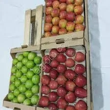 Купуємо яблука калібру 70+ оптом від 10 тонн - фото № 1