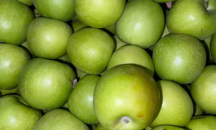 Продаються яблука оптом - фото № 1