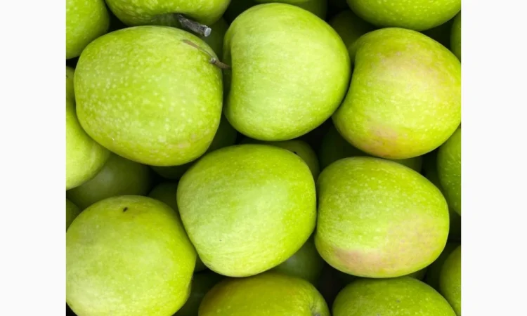 Продаються яблука оптом - фото № 15