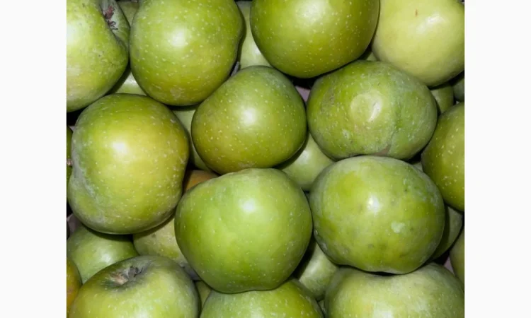 Продаються яблука оптом - фото № 3