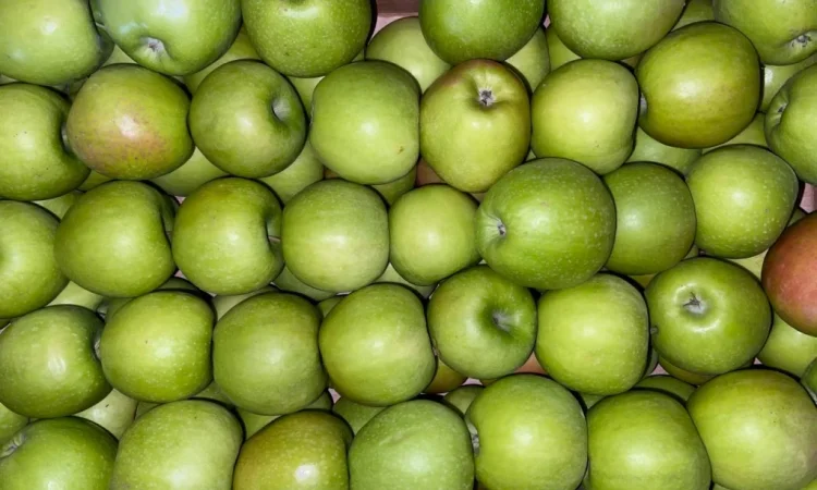 Продаються яблука оптом - фото № 4