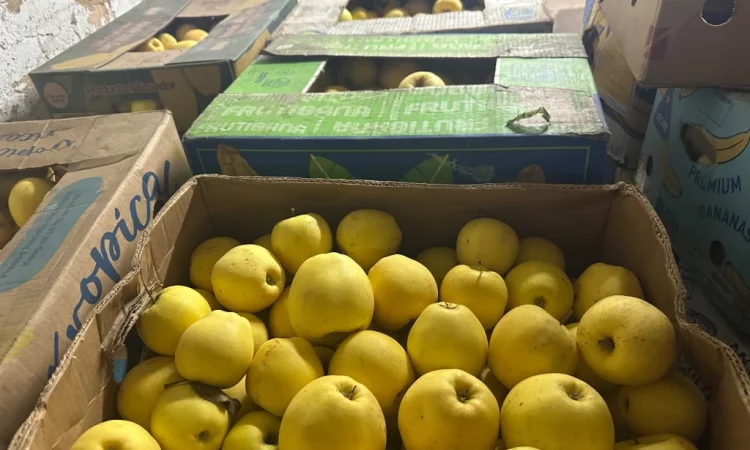 Продається яблуко сорту Голден - фото № 2