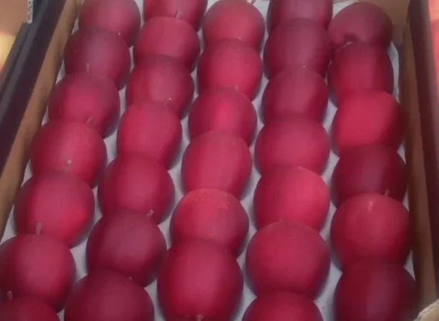 Продается высококачественное яблоко из холодильника - фото № 10