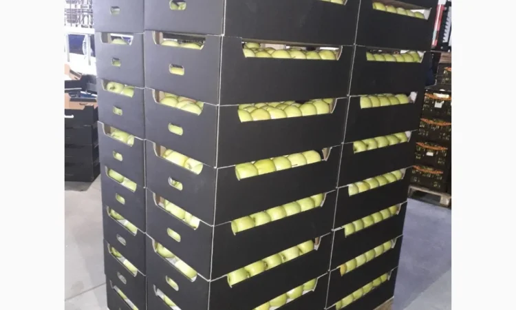 Продается высококачественное яблоко из холодильника - фото № 8