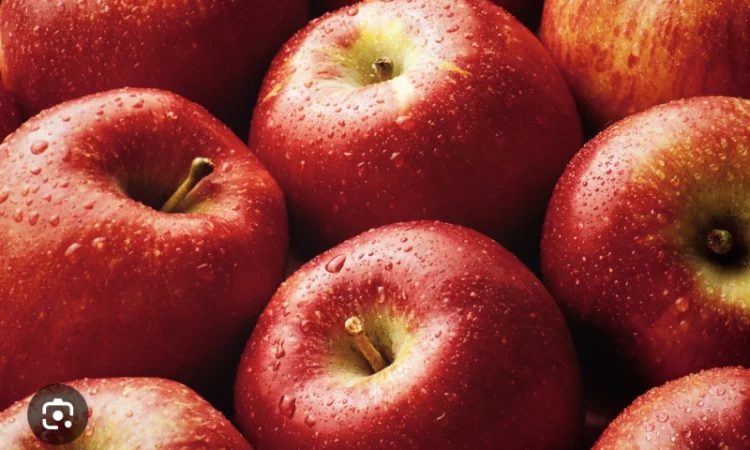 Куплю яблука на переробку - фото № 2