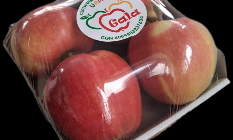 Продам яблука 2025 - фото № 8