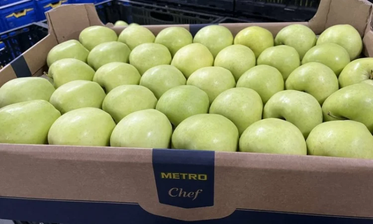 Продам яблука 2025 - фото № 5