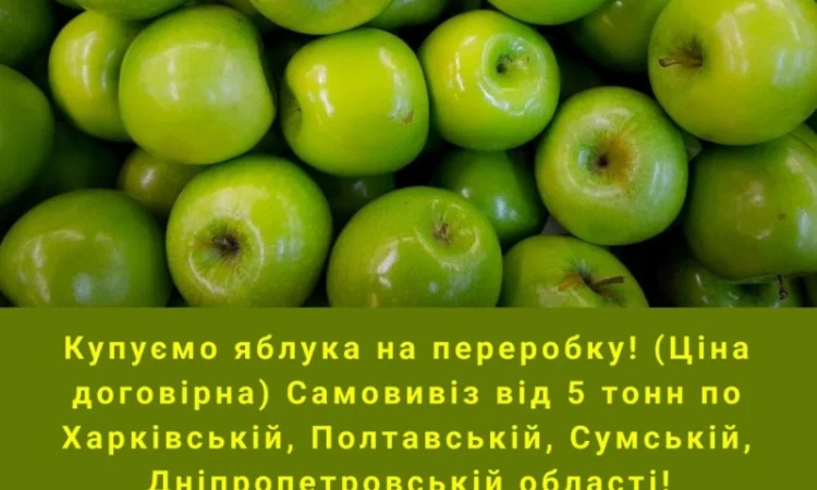 Купуємо яблука на переробку - фото № 1