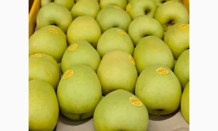 Продаются яблоки различных сортов - фото № 1