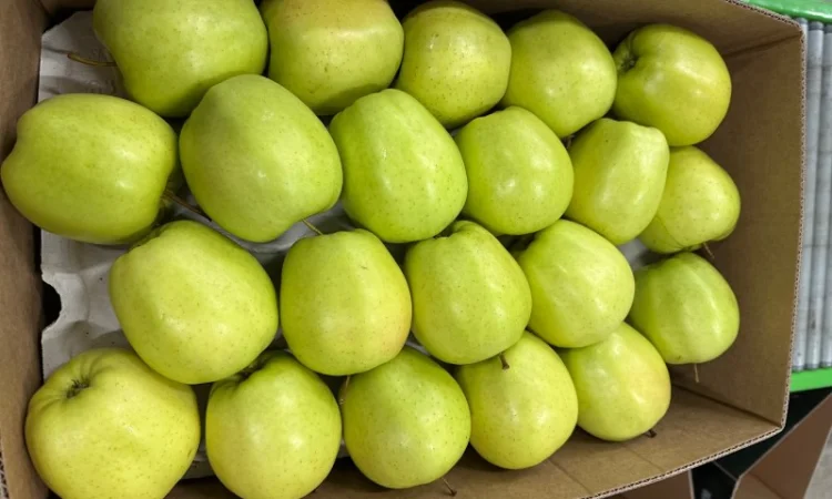 Продам яблука - фото № 7