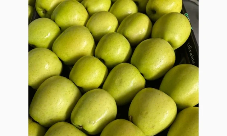 Продам яблука - фото № 9