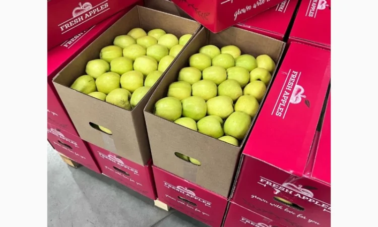 Продам яблука - фото № 10