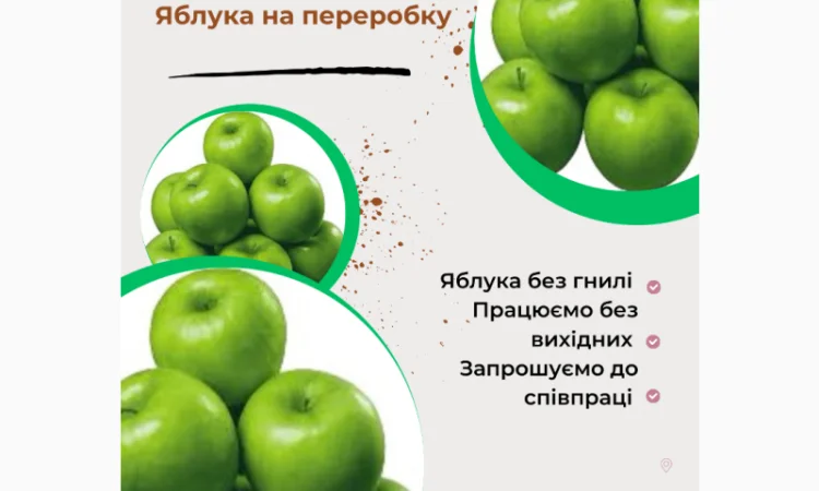 Купуємо яблука на переробку без гнилі.Запрошуємо оптовиків до співпраці - фото № 1