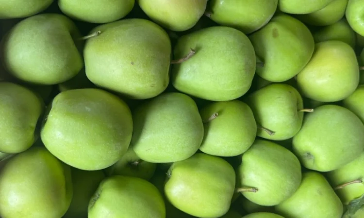 Пропонуються яблука сорту «Голден» - фото № 1