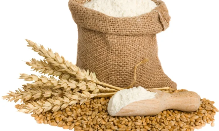 Пшеничная мука высшего сорта - фото № 3