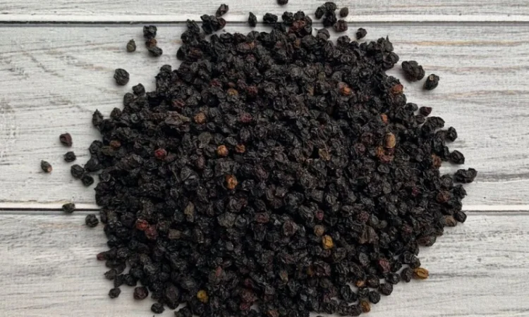 Куплю сушену бузину (ягода бузини суха) - фото № 1