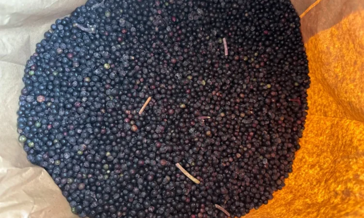 Продам Бузину заморожену - фото № 2