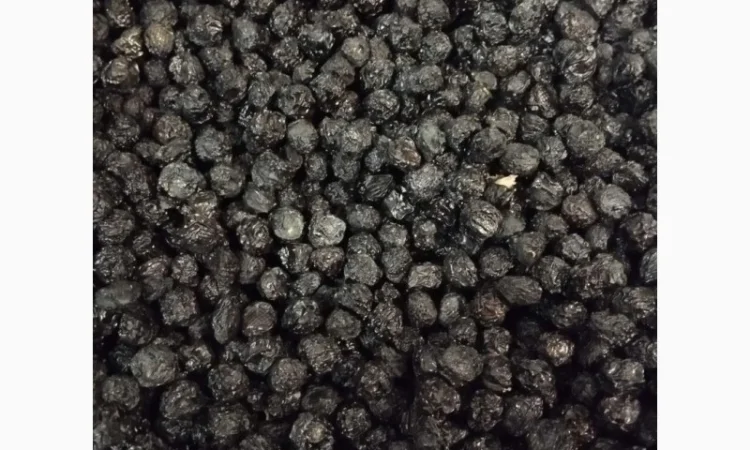 Куплю сушеную ягоду бузины - фото № 1