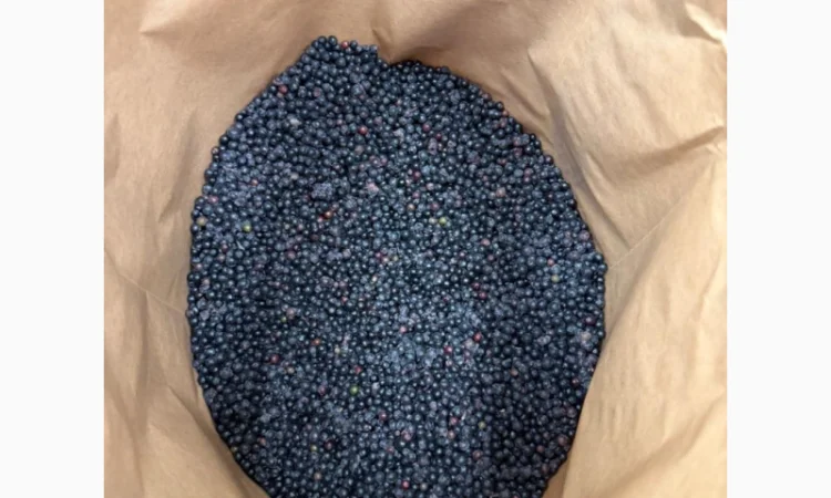 Продам Бизину Б клас та Оригінал - фото № 1