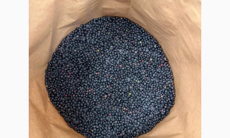 Продам Бизину Б клас та Оригінал - фото № 2