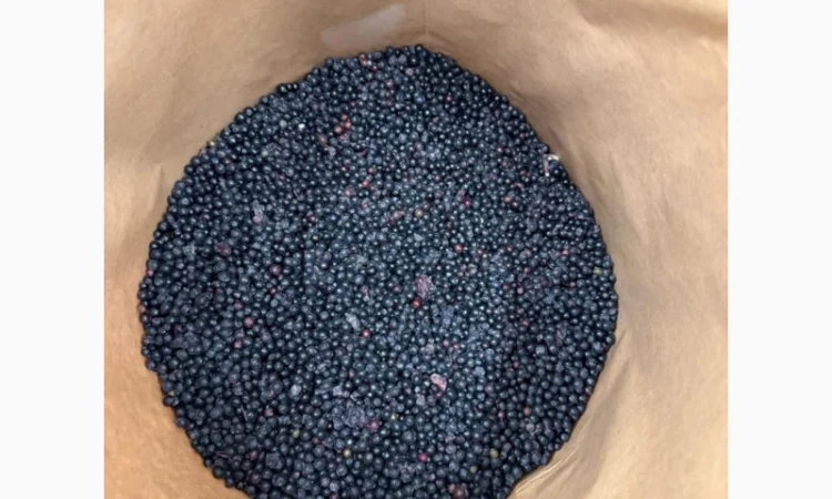 Продам Бизину Б клас та Оригінал - фото № 3