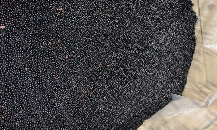 Продам Бизину Б клас та Оригінал - фото № 4