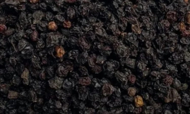 Продам сушену ягоду бузини - фото № 2