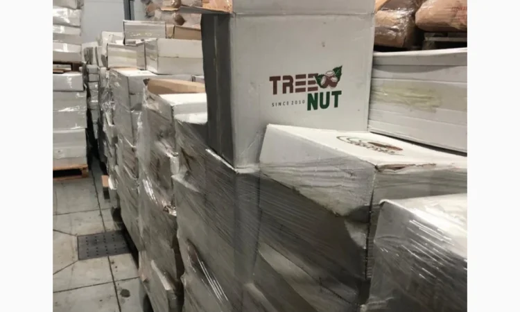 Фундук мука (0-2 мм) - Производство Грузия - фото № 1