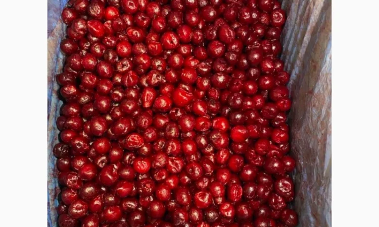 Продается замороженная вишня без косточки сезона 2025 года - фото № 1