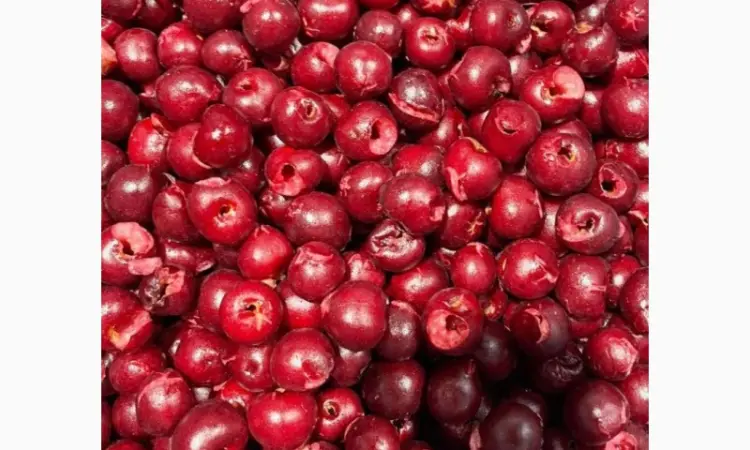 Продам вишню без кістки морожену - фото № 1