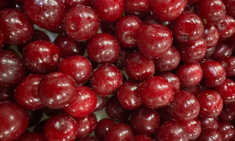 Продам вишню - фото № 1