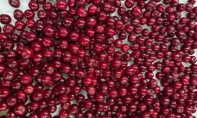 Продам вишню - фото № 2