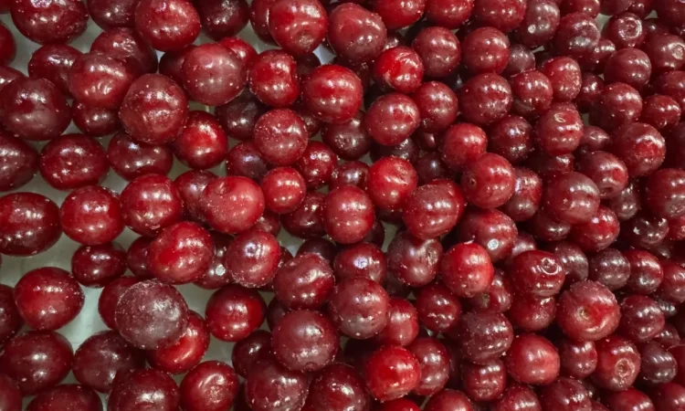 Продам вишню - фото № 8