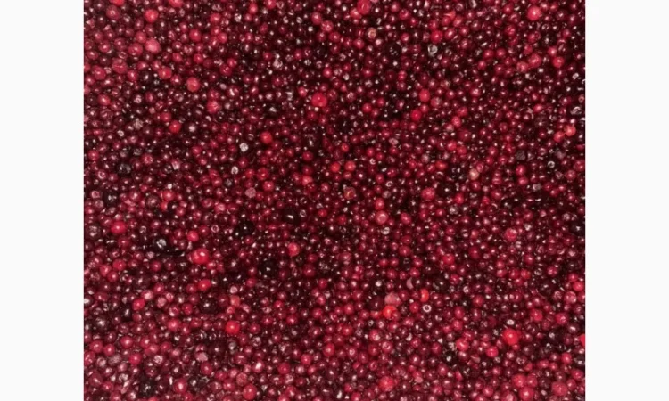 Купую заморожену вишню з кісткою | постійні закупівлі | великі обсяги - фото № 1