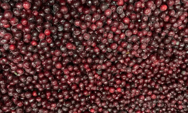 Продам вишню заморожену з косточкою - фото № 2