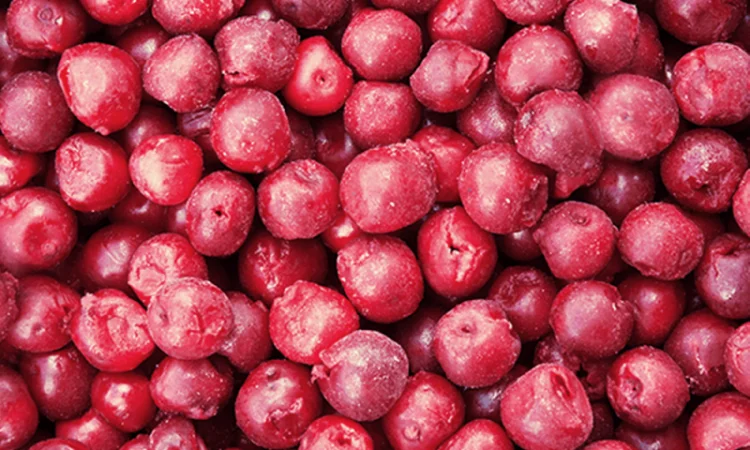 Продам Вишню - фото № 1