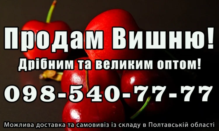 Продам вишню за договірною ціною на постійній основі - фото № 1