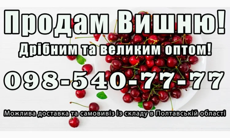 Реализую вишню - фото № 1