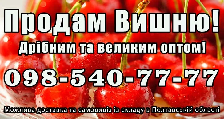 Продаю вишню - фото № 1