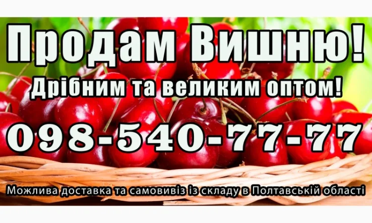 Реализую вишню 2025года - фото № 1