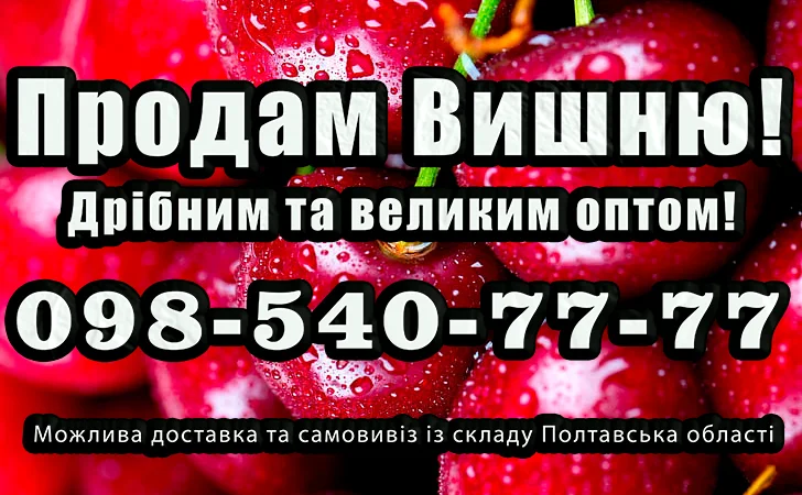 Продам вишню - фото № 1