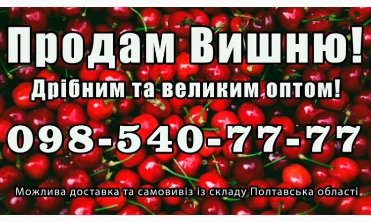 Продам вишню за договірною ціною - фото № 1