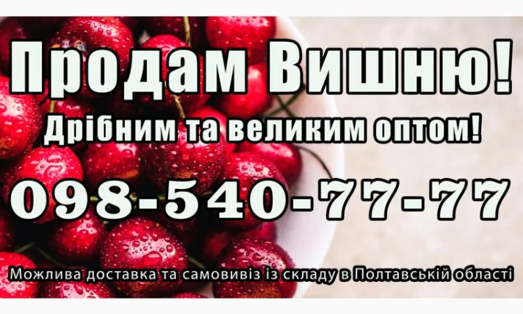 Продаю вишню 2025г. - фото № 1