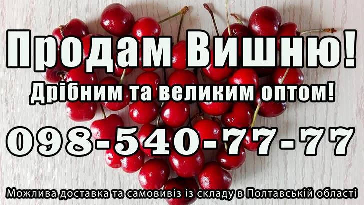 Реализую вишню - фото № 1