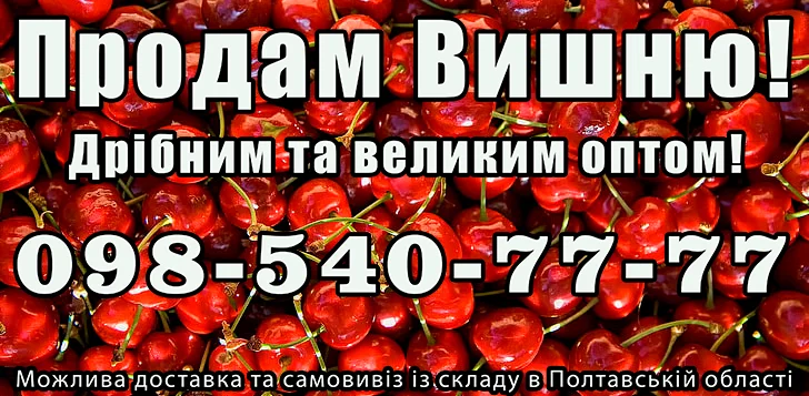 Продам вишню - фото № 1