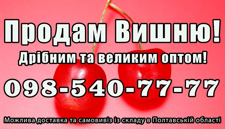 Продам вишню за договірною ціною - фото № 1
