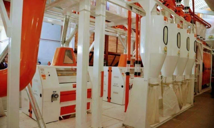 Пропонується борошно вищого та 1 гатунку - фото № 1